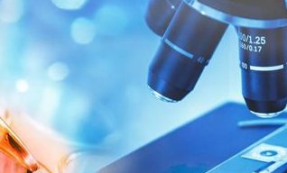 长方案试管全流程都有哪些步骤？