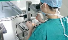 在大连做第三代试管助孕需要多少钱？费用可以医保报销吗？