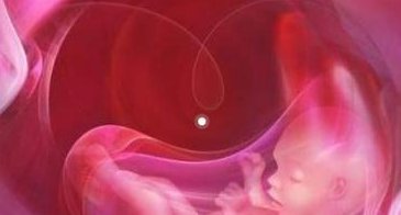 揭秘试管婴儿移植前检查是否重要，附术前注意事项一览