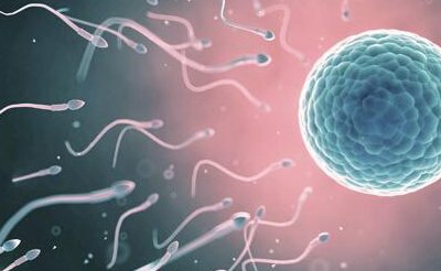 合肥地区有哪些私立的机构可以做试管技术？夫妻双方同房20天胚胎才着床成功是正常的吗？