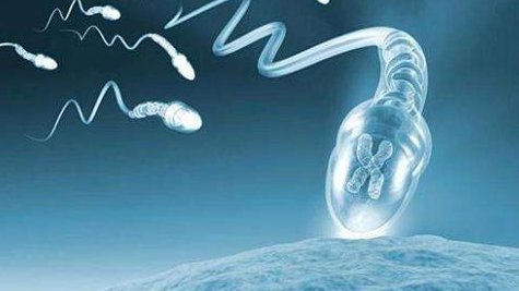 试管检查出胚胎15号长臂部分嵌合重复可以移植吗？