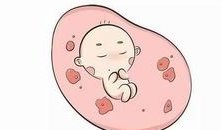 2026年想去辛集市做试管婴儿需要准备哪些事？详细收费明细一览