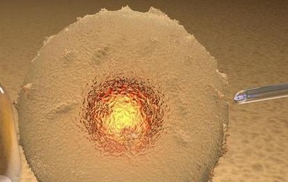 三特需后多久能移植胚胎？附三特需后饮食调理