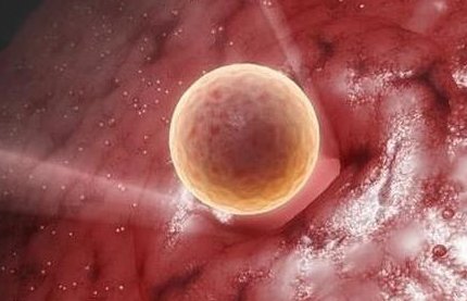 卵巢功能下降的女性做试管婴儿想提高成功率要做什么检查？